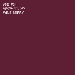 #5E1F34 - Wine Berry Color Image